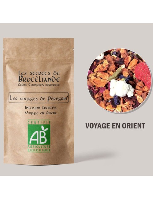 Les voyages de Pérégrin'